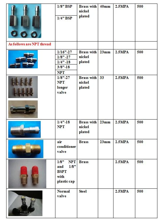 High Quality 1/8&quot; NPT and 1/8&quot; BSPT. M10X1.25. M8X1.25 Air Control Tank Schrader Needle Brass Valve. Pipe Fitting Industrial Valve (own factory)